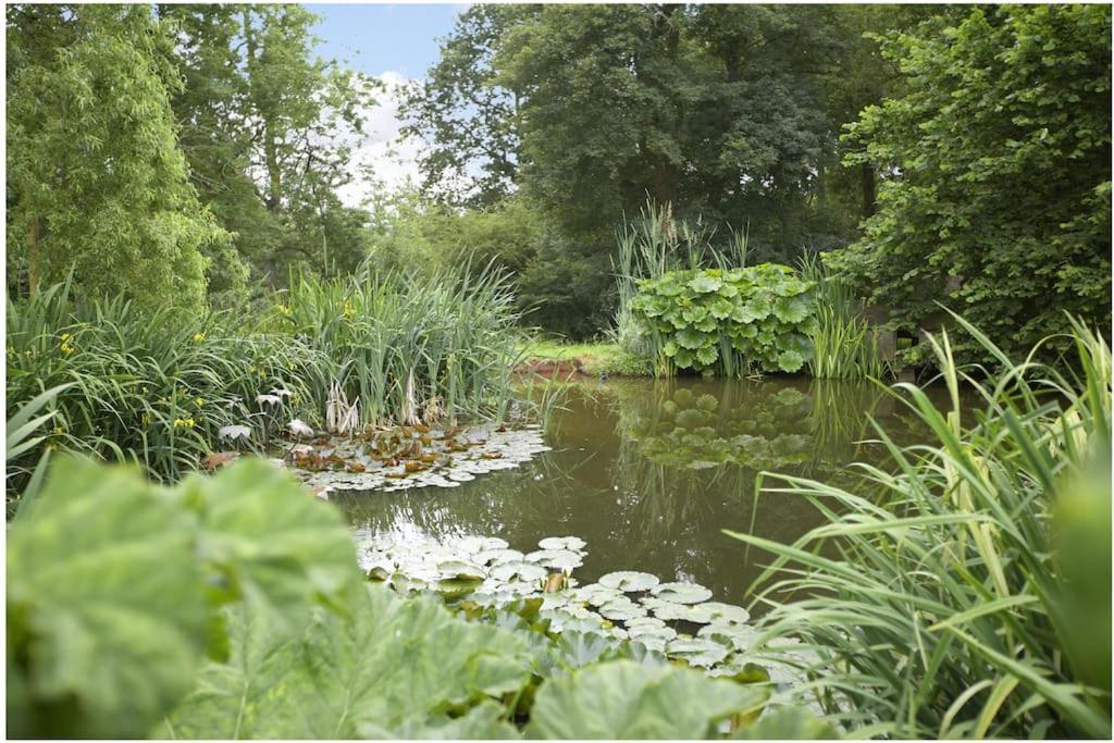 Ebony Cottage Tenbury Wells Esterno foto