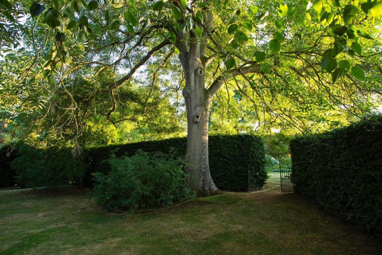 Ebony Cottage Tenbury Wells Esterno foto