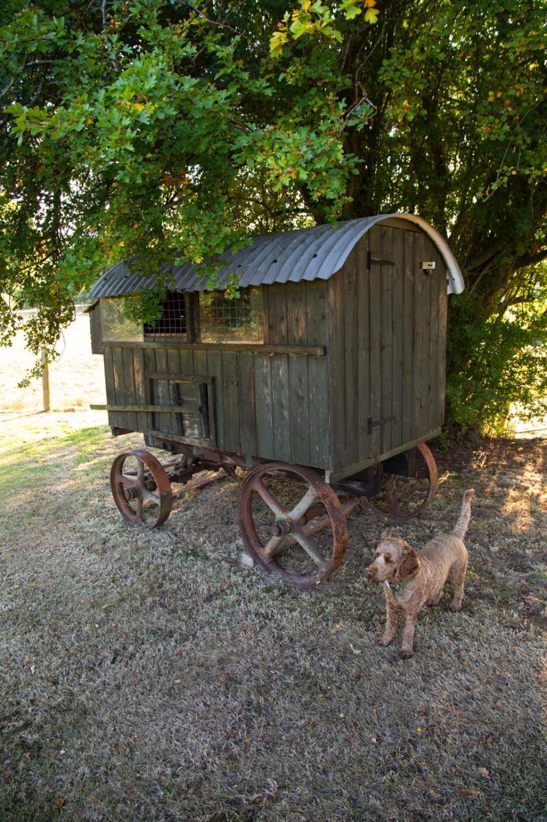 Ebony Cottage Tenbury Wells Esterno foto
