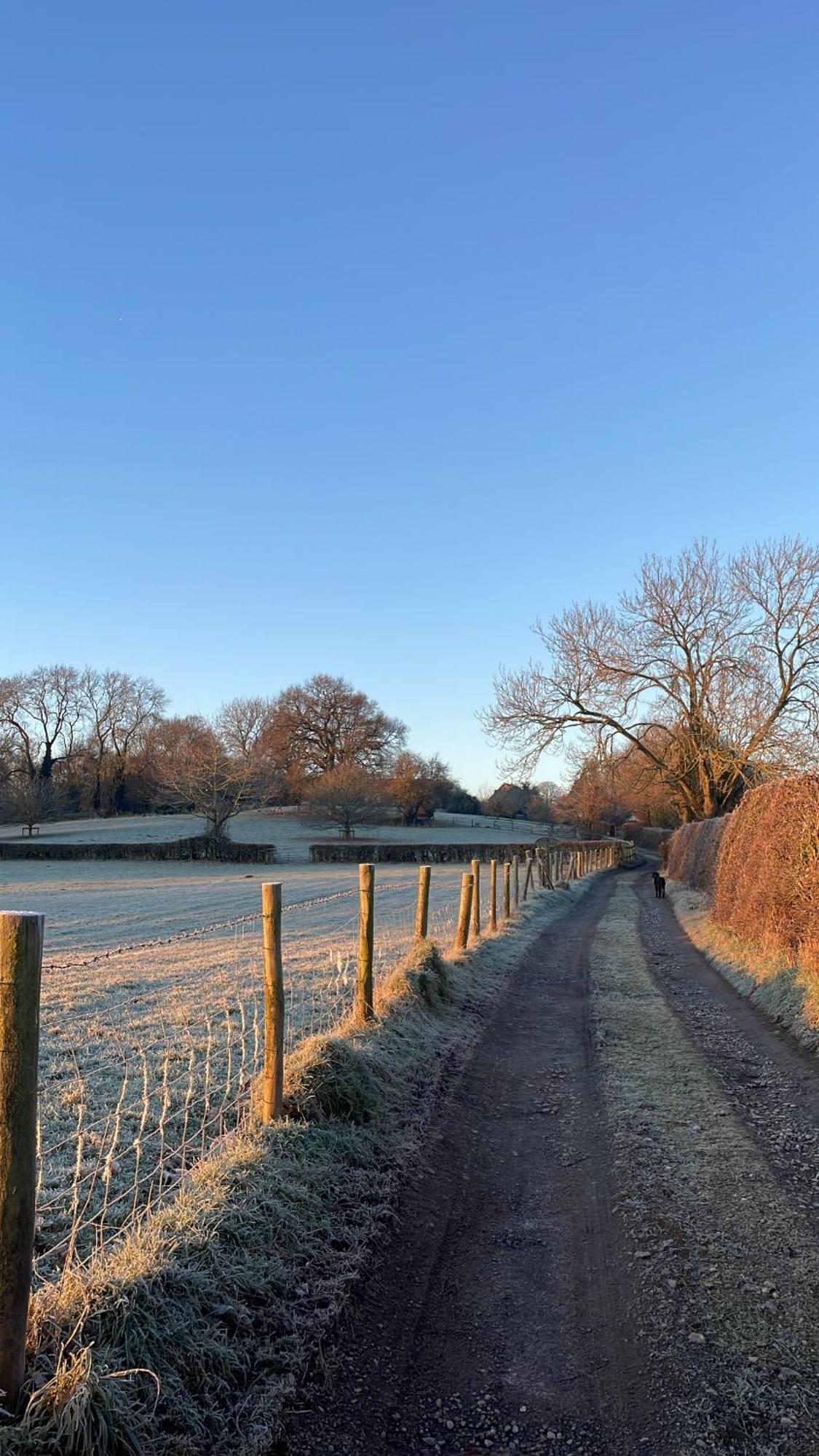 Ebony Cottage Tenbury Wells Esterno foto
