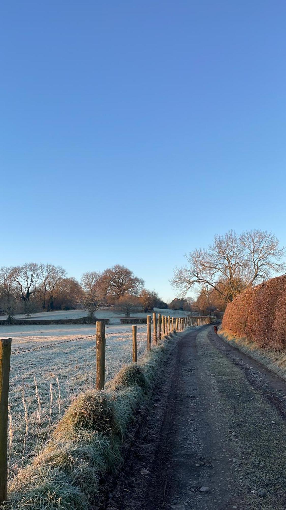 Ebony Cottage Tenbury Wells Esterno foto
